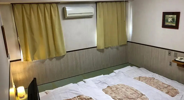 Трёхместный номер Standard Fuji Park Hotel