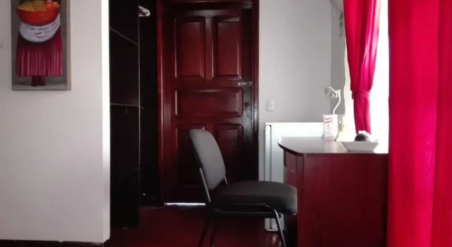 Люкс Deluxe President House Hotel - Hostel