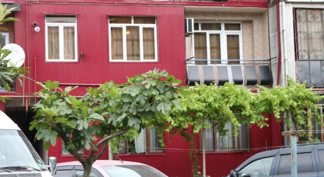 Loria Street #8 Kvartira #4, Book Hotel Batumi 