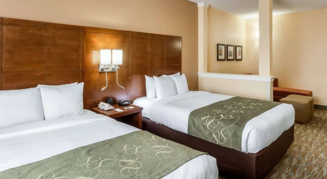 Suite Comfort Suites Cotulla
