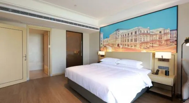 Люкс Executive Vienna International Hotel (Shangrao Economic Development Zone)