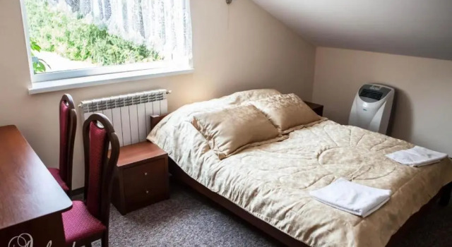 Двухместный номер Standard Hotel Arkada