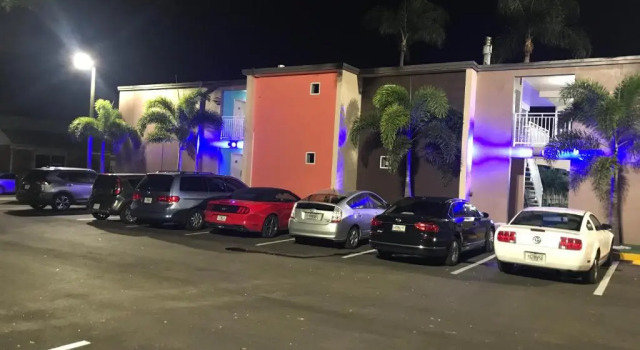 Номер Standard Tropical Inn & Suites, downtown clearwater