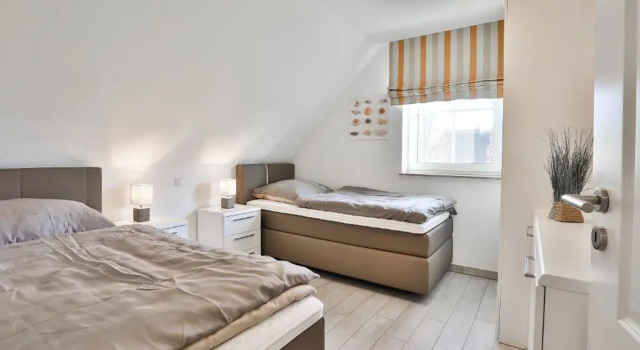 Seestern - a26415