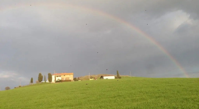Двухместный номер Standard Agriturismo Poggio Tobruk