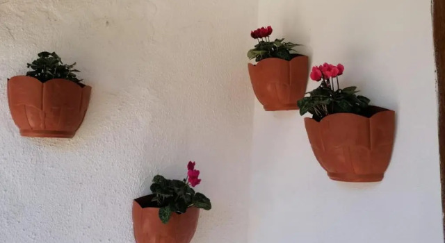 Коттедж Casa Rosario