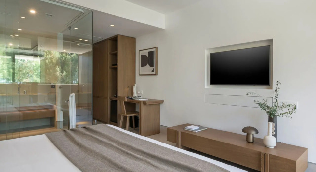Номер Deluxe SanSal Boutique Hotel