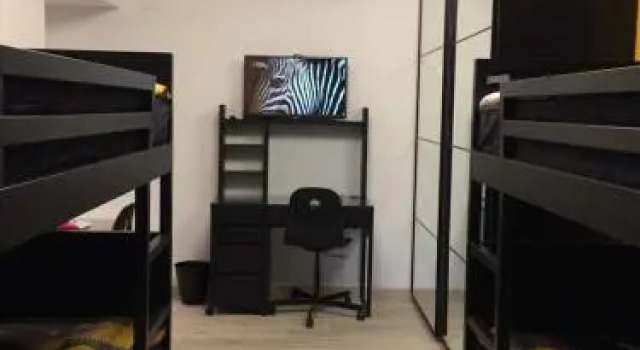 Luxury Mohandeseen Apartment