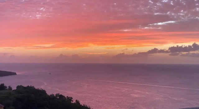 Best View Apartments
