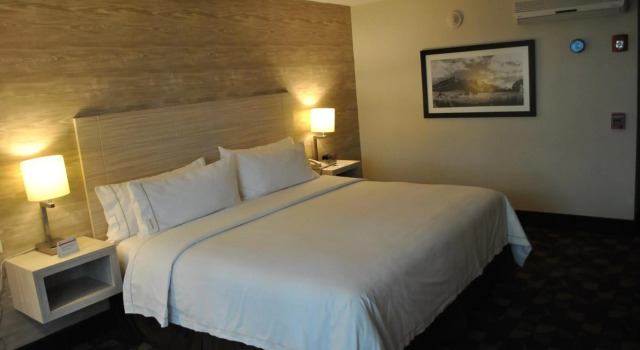 Holiday Inn Express Toluca, Rezervovat Hotel Hotely v State of Mexico se snídaní, Snídaně