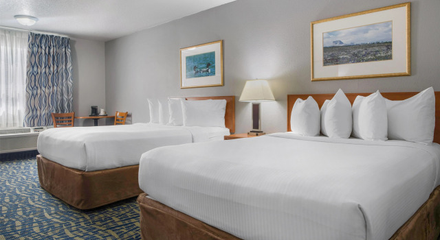 Четырёхместный номер Standard SureStay Plus Hotel by Best Western Lethbridge