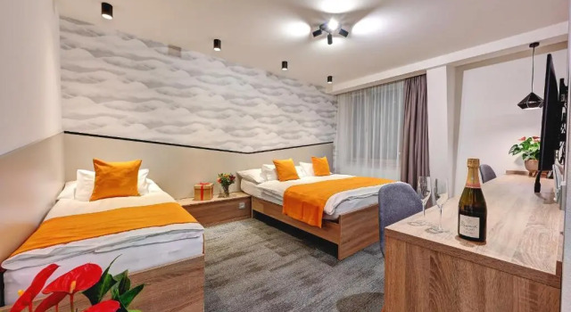 Трёхместный номер Standard с видом на горы Fénix Inspiration Design Hotel