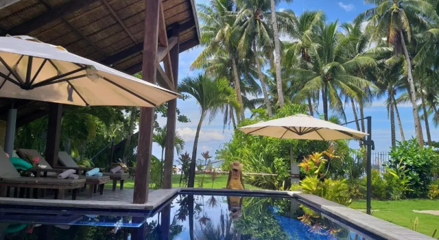Номер Standard Daluyong Beach Resort