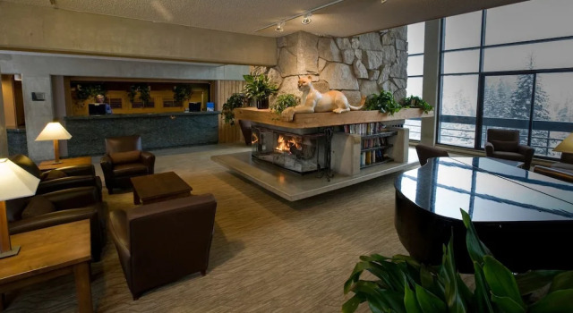 Inn at Snowbird, Prenota Hotel Snowbird Stati Uniti