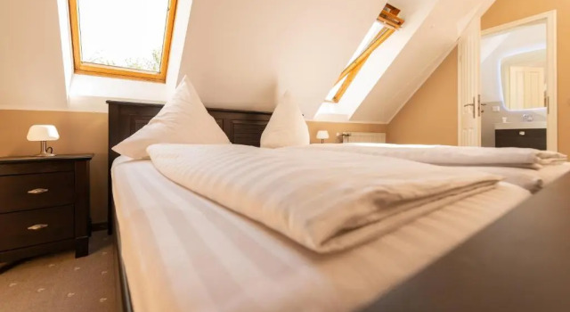 Двухместный номер Standard Hotel Wasserschlößchen