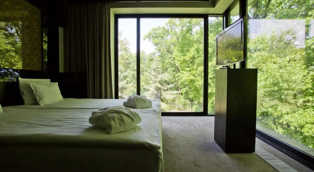 Люкс Platinum Palace Boutique Hotel & SPA