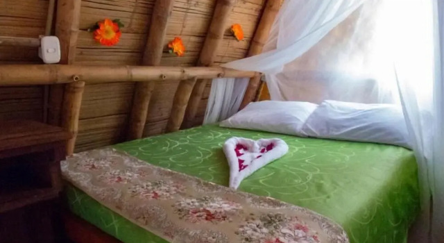 Двухместный номер Standard Chalet Ecoturismo La Nohelia
