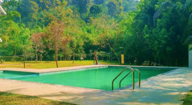 Номер Standard Vythiri Greens Holiday Resorts