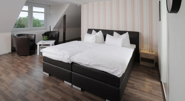 Студия Le petit Palais - Hotel/Pension