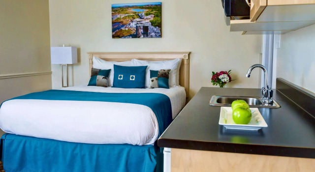 Люкс c 1 комнатой Royal Inn & Suites