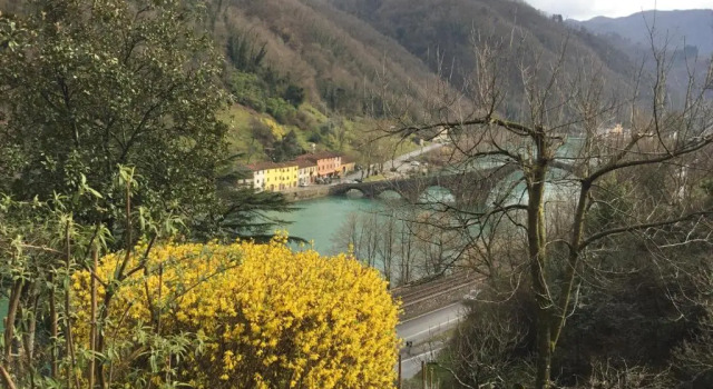Villa Morante, Book Villa Borgo a Mozzano Toscana