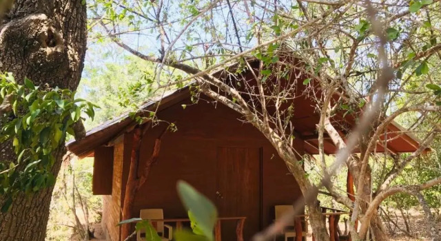 Одноместный номер Standard Rivosen Camp Yala Safari