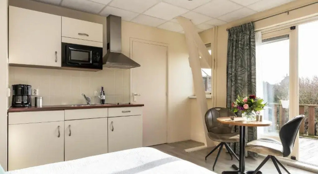Студия с балконом Appartementen Parkzicht