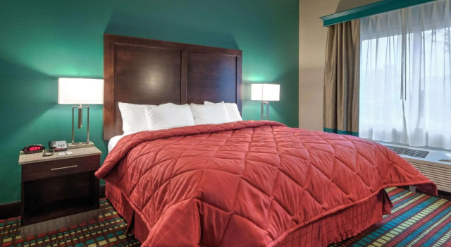 Двухместный люкс MainStay Suites Hobbs