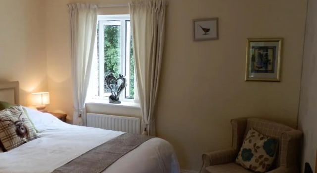 Номер Economy Cherry Orchard House
