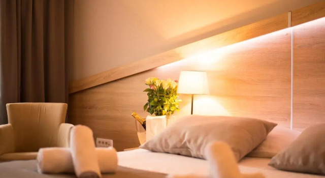 Двухместный номер Standard Hotel Dolenjc