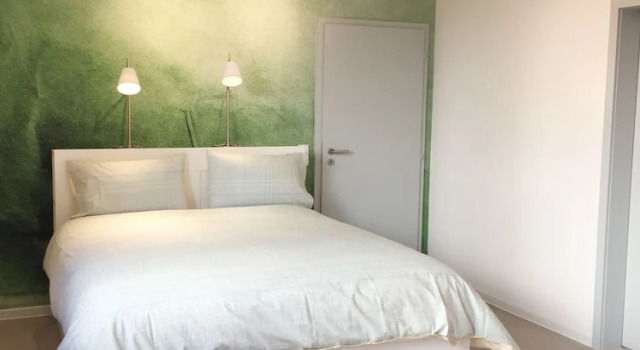 Апартаменты Deluxe Oppenheim Lofts