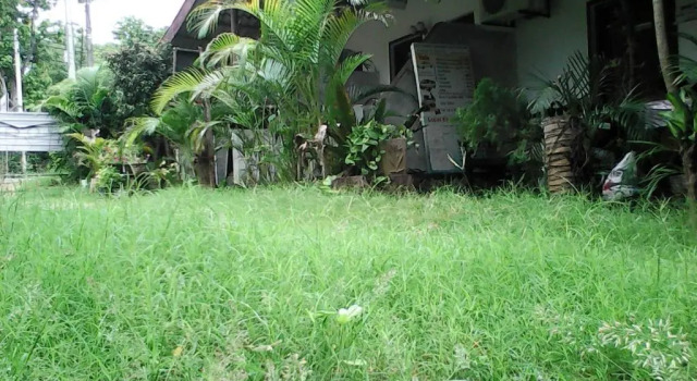 Lotus Inn Tourist Resort