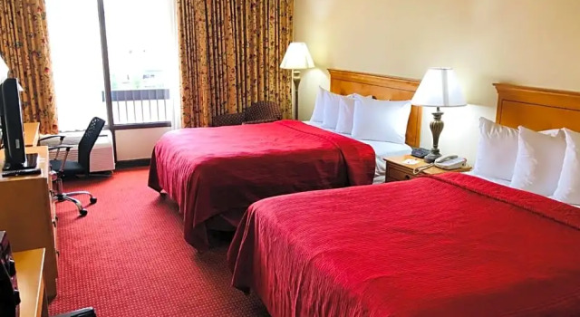 Четырёхместный номер Standard с видом на бассейн Wyndham Garden Atlanta Airport