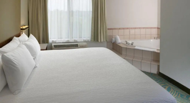 Студия Deluxe SpringHill Suites by Marriott Lansing West