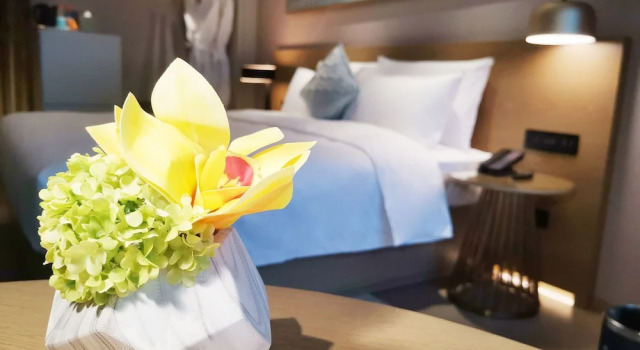 Двухместный номер Deluxe The Mulian Hotel of Guangzhou Gaoxin Guoyu