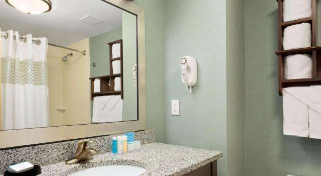 Четырёхместный номер Standard Hampton Inn & Suites Birmingham/280 East-Eagle Point