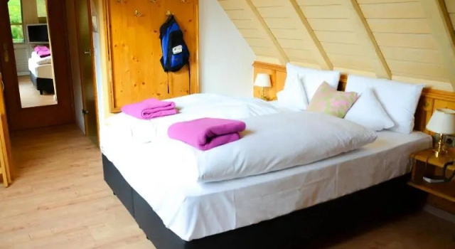Номер Business Naturparkhotel Adler
