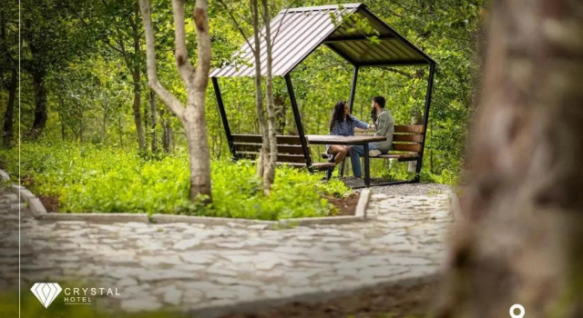 Апартаменты crystal resort bakuriani-c110