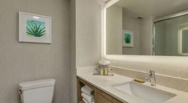 Четырёхместный номер Standard с видом на бассейн DoubleTree by Hilton Chandler Phoenix, AZ