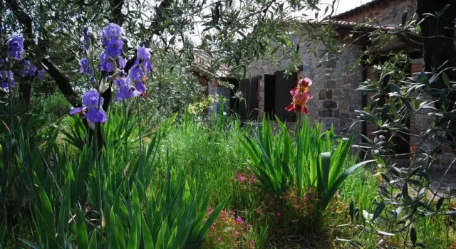 Castagnoli 1, Buchen Sie Ferienwohnung Gaiole in Chianti Chianti