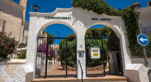 Pinos 2