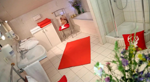 Апартаменты Berghotel Hois