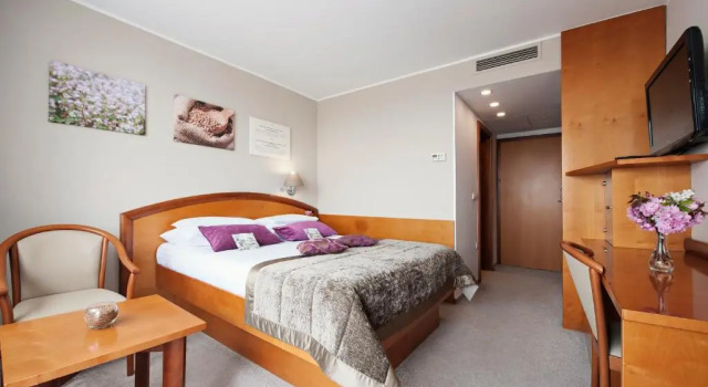 Номер Economy Hotel Ajda - Terme 3000 - Sava Hotels & Resorts