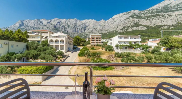 Апартаменты Apartments Deluxe Vučko