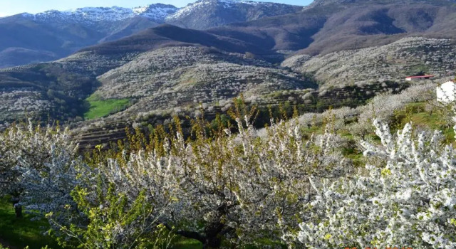 Senderos del Jerte, Boek Hotel Navaconcejo Valle del Jerte
