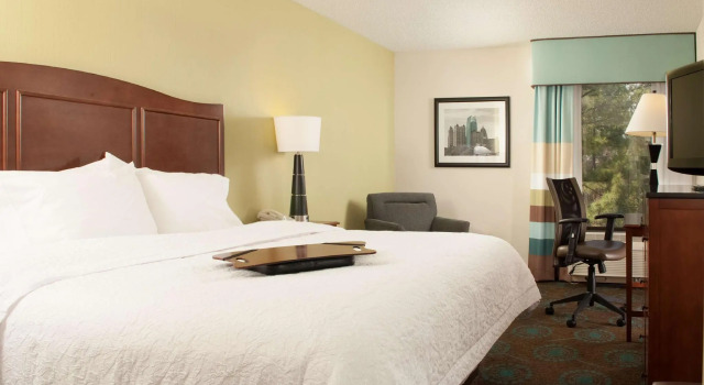 Двухместный номер Hampton Inn Atlanta-North Druid Hills