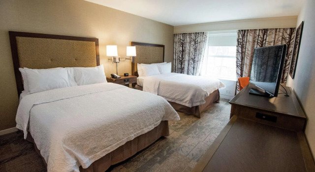 Четырёхместный номер Standard Hampton Inn & Suites Manchester, Vt