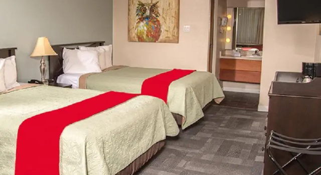 Номер Standard Pauls Motor Inn