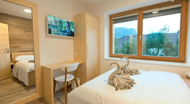 Номер Economy Vila Alpina