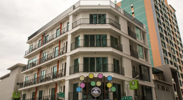 Treehouse Hostels